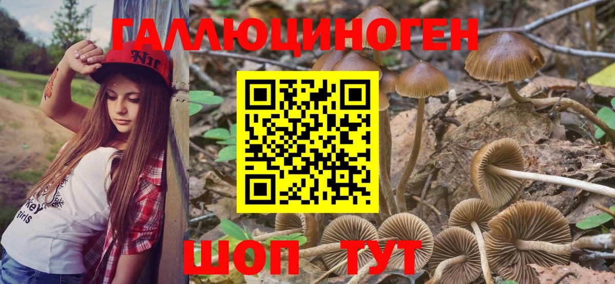 Псилоцибиновые грибы Magic Shrooms Симферополь