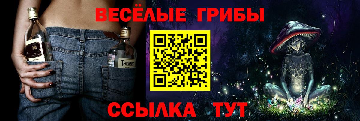 Симферополь  Псилоцибиновые грибы Psilocybine cubensis  Вход с VPN 